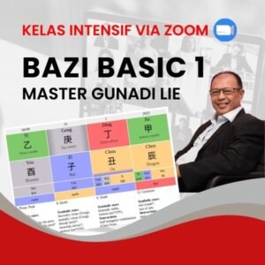 BAZI - 1 (intensif via ZOOM)